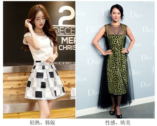服裝版型全解析 從廓形到細節，服裝人必備的專業指南